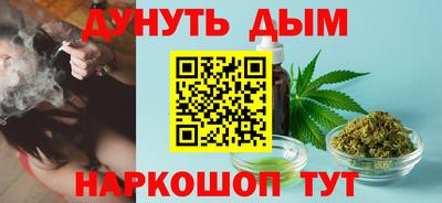 прущие грибы Пенза