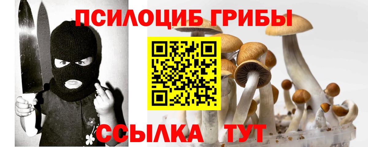 Пугачёв  закладки  Галлюциногенные грибы Psilocybe  Вход с VPN  Псилоцибиновые грибы мухоморы 